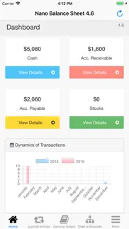 nano balance sheet iphone screenshot 2