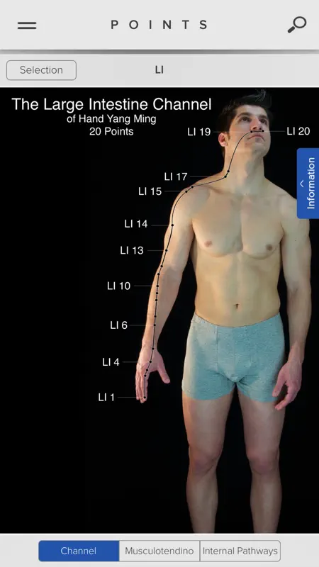 Acupuncture Points screenshot 1 of 5
