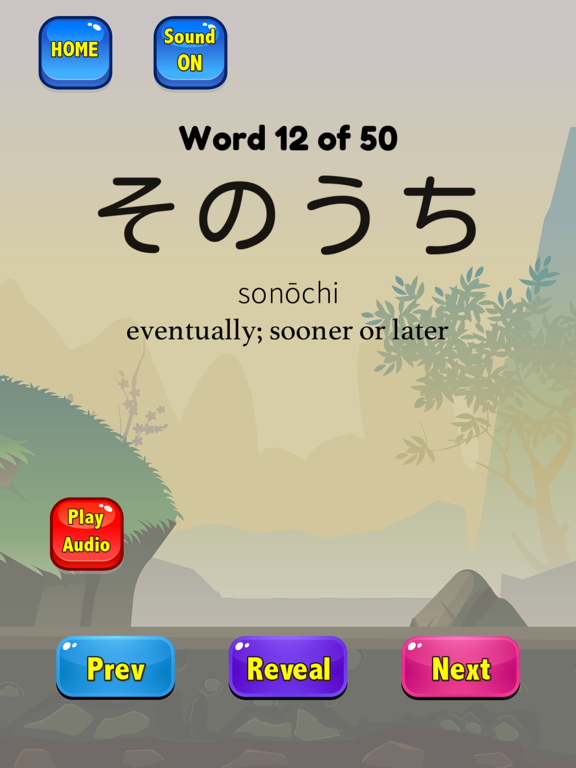 Japanese Flashcards 2025 JLPT iPad screenshot 8 - Education app