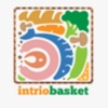 IntrioBasket icon