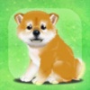 癒しの子犬育成ゲーム〜柴犬編〜 - iPadアプリ