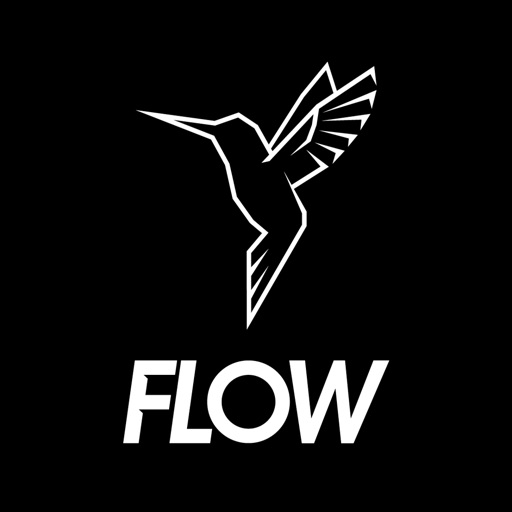 FLOW SCOOTER icon