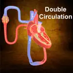 Double Circulation App Cancel