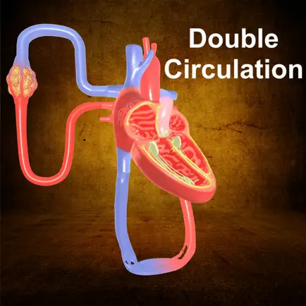 Double Circulation Читы