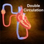 Double Circulation app download