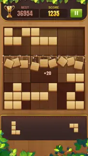 block puzzle: wood sudoku game iphone screenshot 4