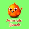 Icon Animals Sounds Pro