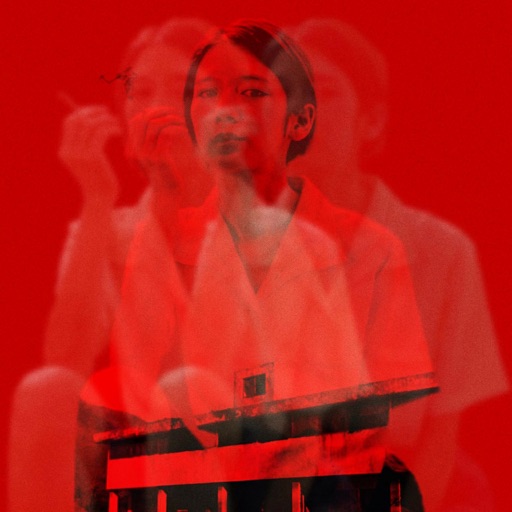 The AR of Monkey House