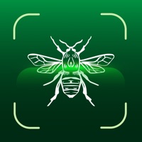 Insect Bug Identifier logo