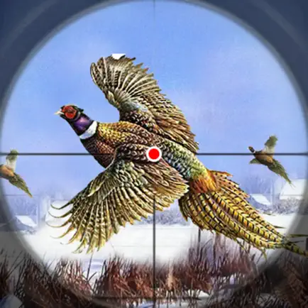 Pheasant Bird Hunting 18 Читы