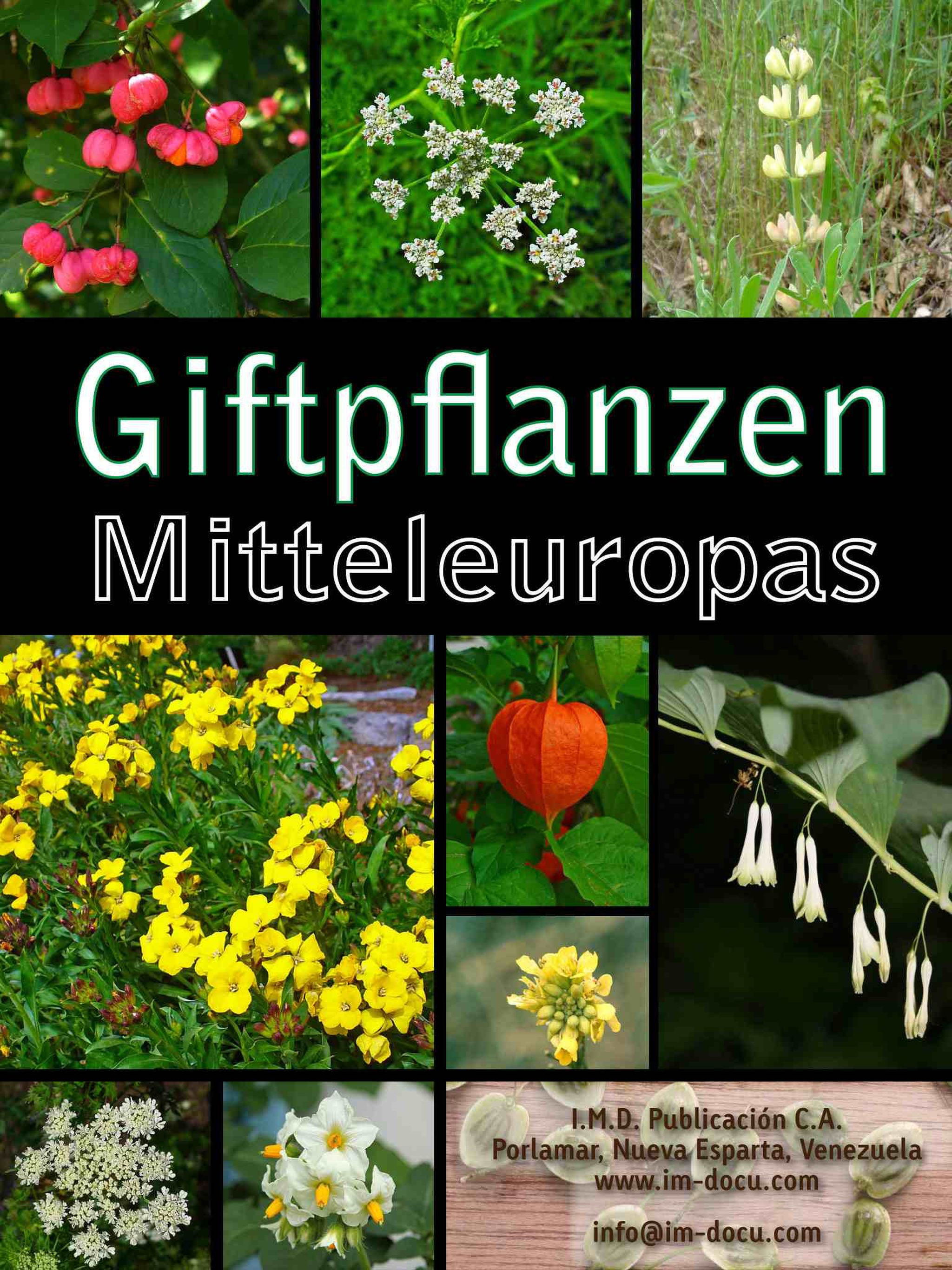 Giftpflanzen Mitteleuropas screenshot 6