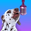 Icon PetStar: My Pet Sings & Dances