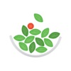 Simply Salad icon