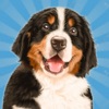 Icon Dog Simulator Puppy Pet Hotel