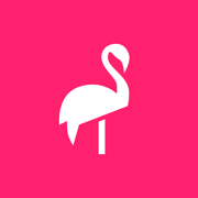 Flamingo Scooters