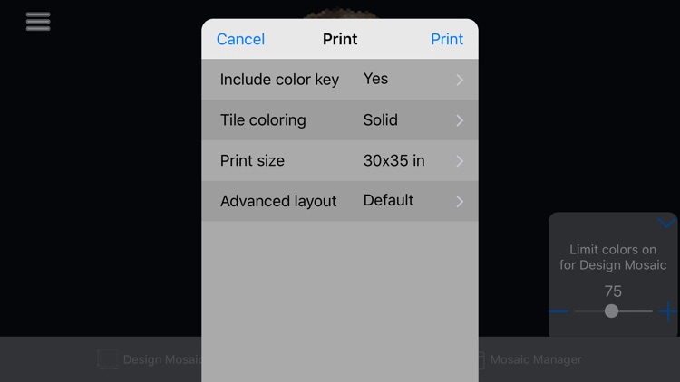 ColorHints Mosaic screenshot-3
