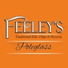Feeleys Poleglass icon