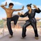 Kung Fu King Street Fight Game