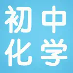 初中化学笔记大全 App Problems