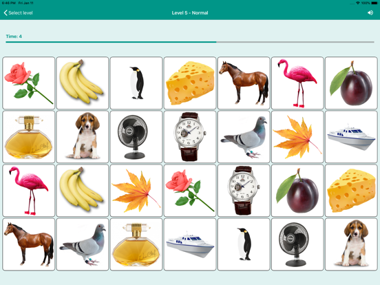 Brain game. Picture Match iPad screenshot 4 - Games app
