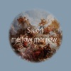 Salon mellow merrow 公式アプリ icon