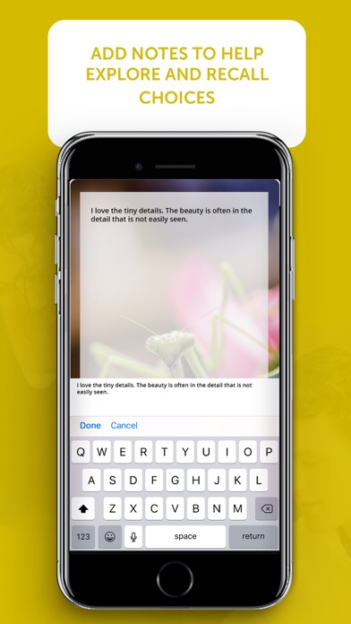 CCS Vision Pack Screenshot