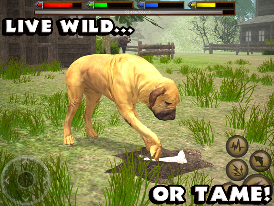 Ultimate Dog Simulator iPad app afbeelding 3