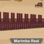 Marimba, Xylophone, Vibraphone App Cancel
