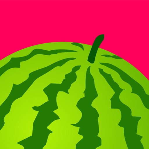 Melon CRM Customer Management iOS App