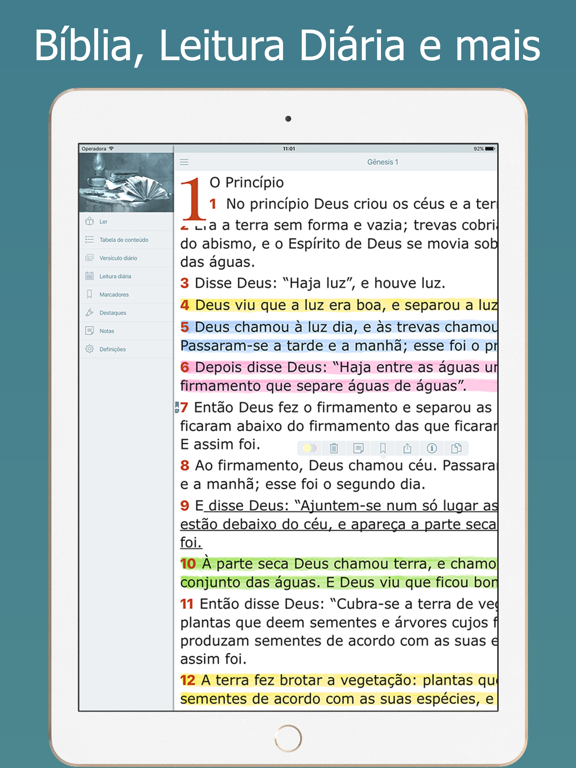 Áudio Bíblia NVI em Português screenshot 2