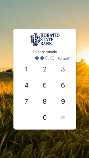 Horatio State Bank screenshot 2