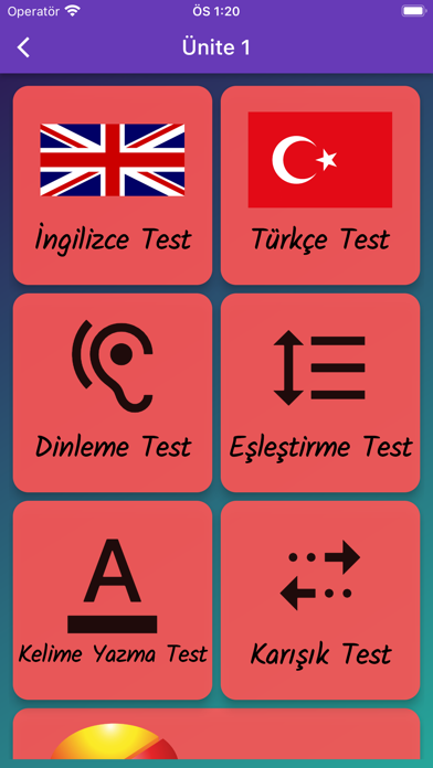 Lucky 10. Sınıf İngilizce Screenshot