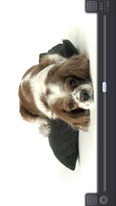 Video 2 Photo-HDのスクリーンショット - 9