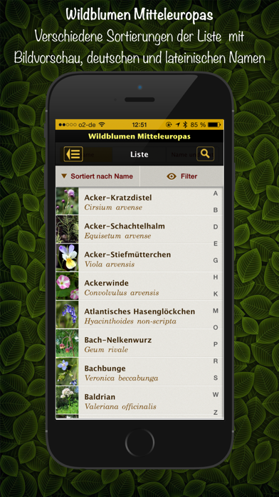 Screenshot #2 pour Wildblumen Mitteleuropas