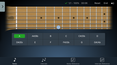 Fretronome Screenshot