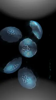 jellyfishgo - appreciation iphone screenshot 2