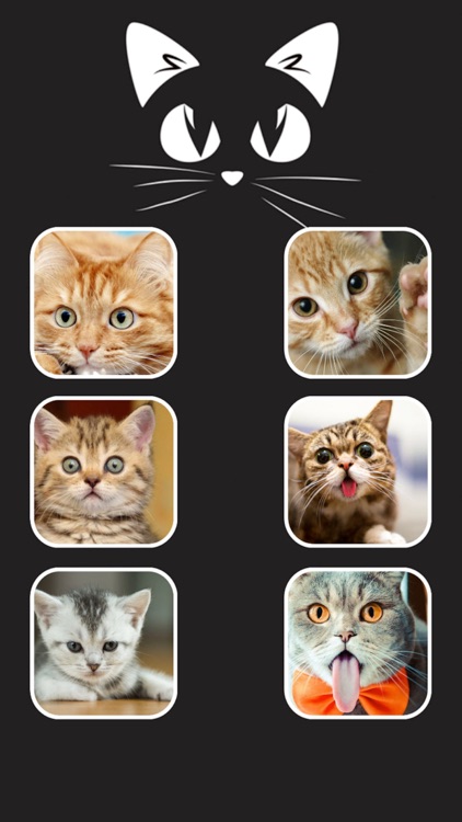 Call Cat 2 screenshot-4