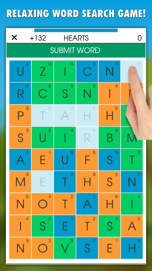 The Word Search Fun Game - 3.0 - (iOS)