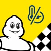 MICHELIN Track Connect - Rally icon