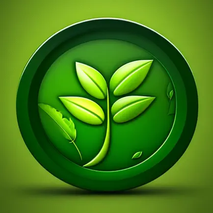 Vegan Kitchen: Vegan Recipes Cheats