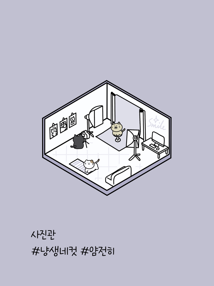 고양이 건물주 고영희