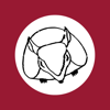 Quirqui Rutas - Trufi Association e.V.
