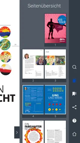 Game screenshot einblick | DKFZ hack
