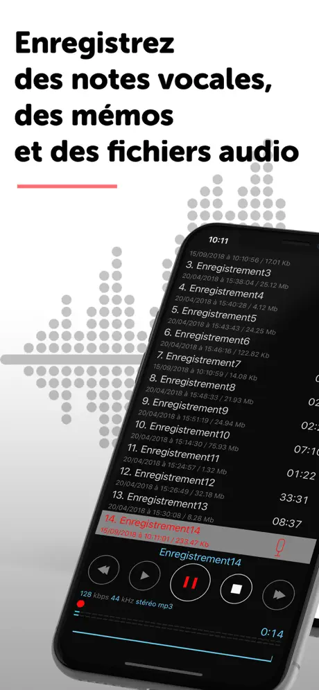VOIspeed