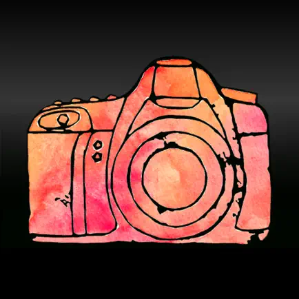 Destination Photographers Читы