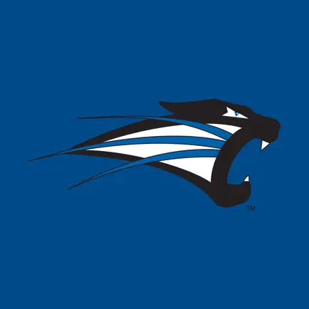 Saint Francis Cougars Читы