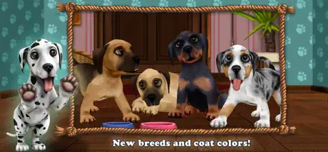 Dog World Premium - My Puppy