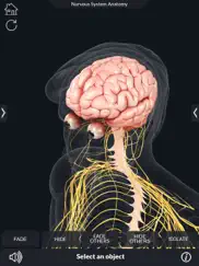 my nervous system anatomy ipad resimleri 2