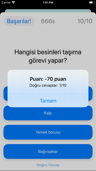 Test Merkezi Ortaokul 5.Sınıf Screenshot