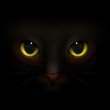 Animated Black Catmoji GIF